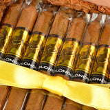 ACID Blondie Gold Sumatra Cigars Box of 40