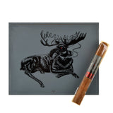 Foundry Chillin' Moose Corona Cigars Box of 20