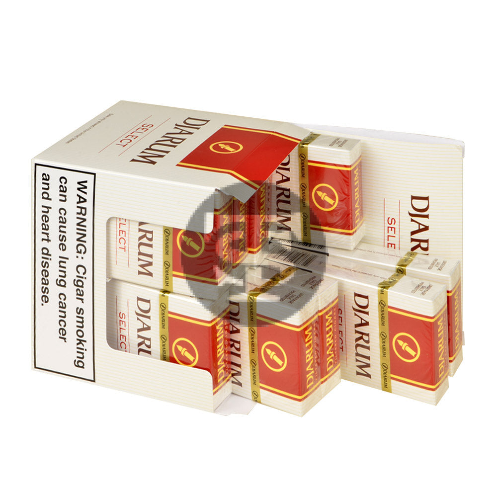 Djarum Mild (Select) Filtered Cigars 10 Packs of 12 3